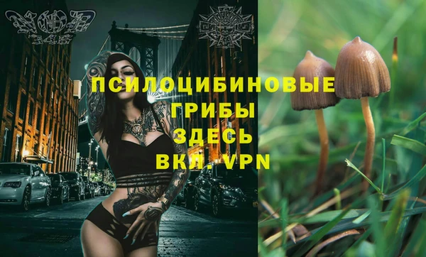 первитин Кукмор