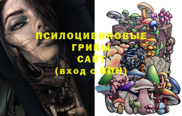 дмт Краснослободск