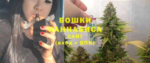 ГАЛЛЮЦИНОГЕННЫЕ ГРИБЫ Краснотурьинск