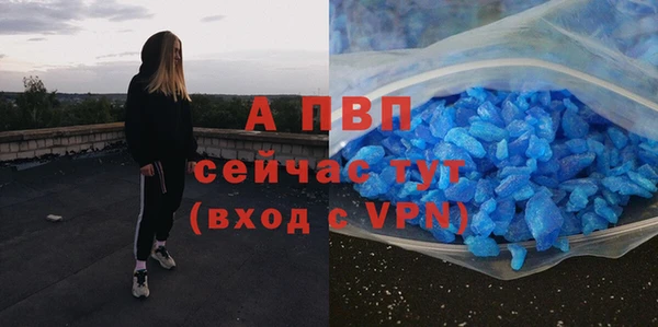 ГАЛЛЮЦИНОГЕННЫЕ ГРИБЫ Краснотурьинск